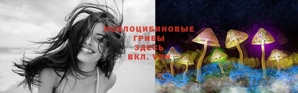 стаф Белоозёрский