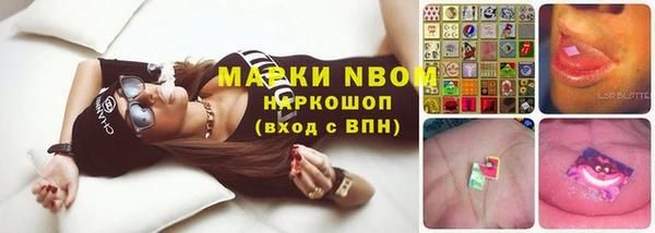 стаф Белоозёрский